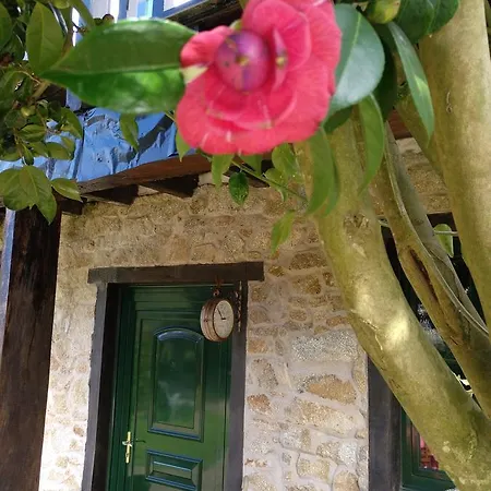 Mar Y Montana フェロル